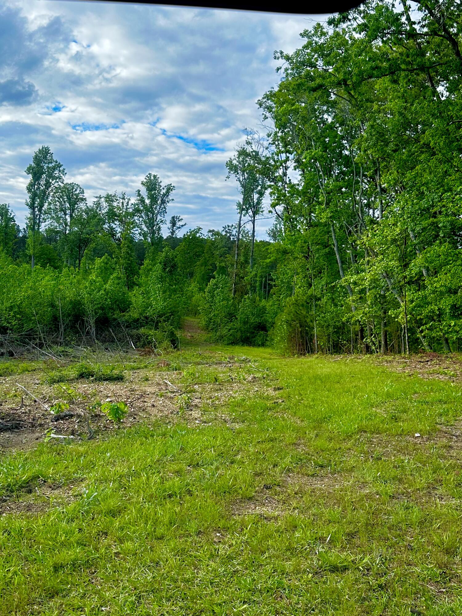 0 Highway 2 Dalton, GA 30721 - Photo 21 of 57 20