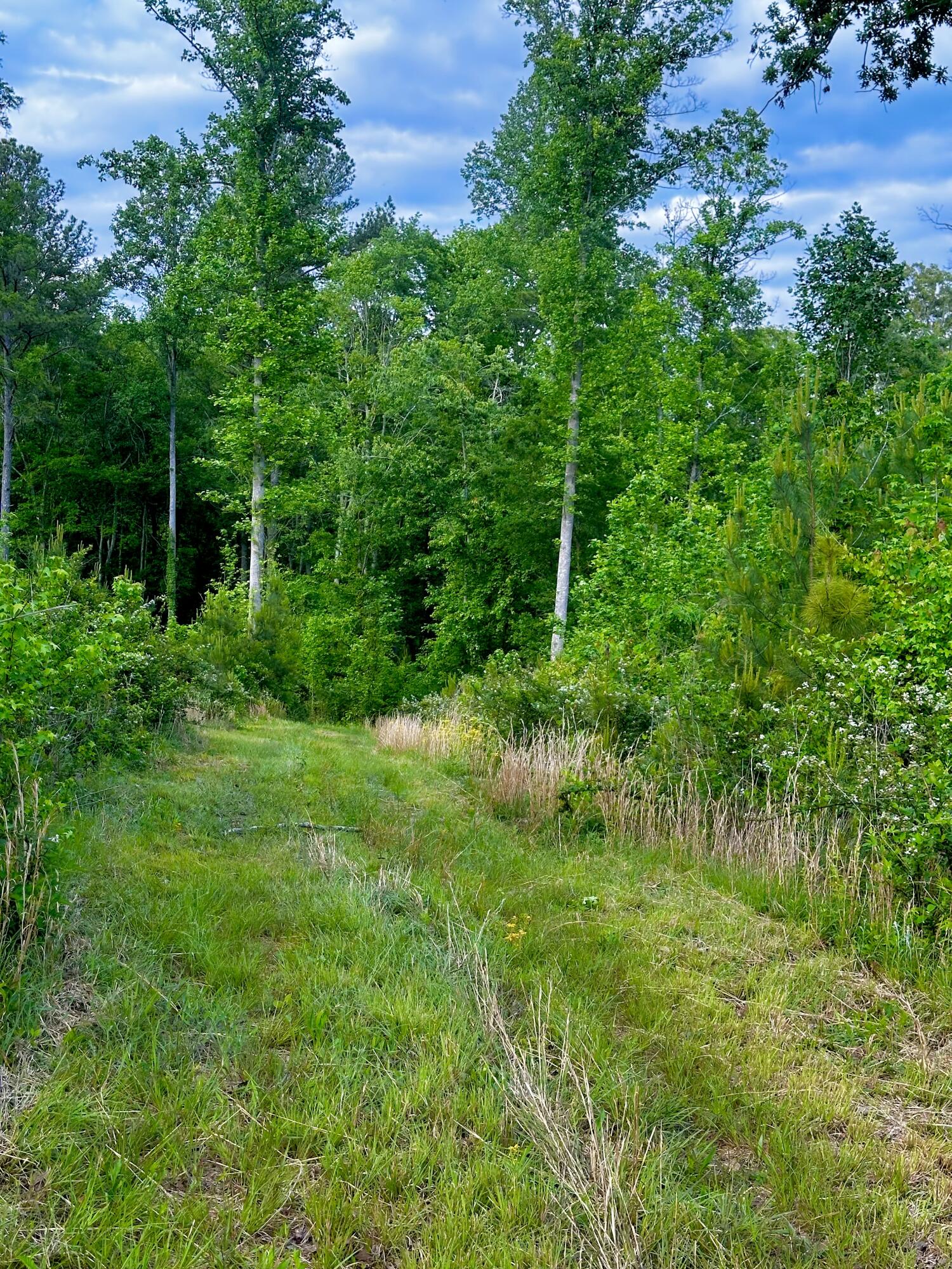 0 Highway 2 Dalton, GA 30721 - Photo 23 of 57 22