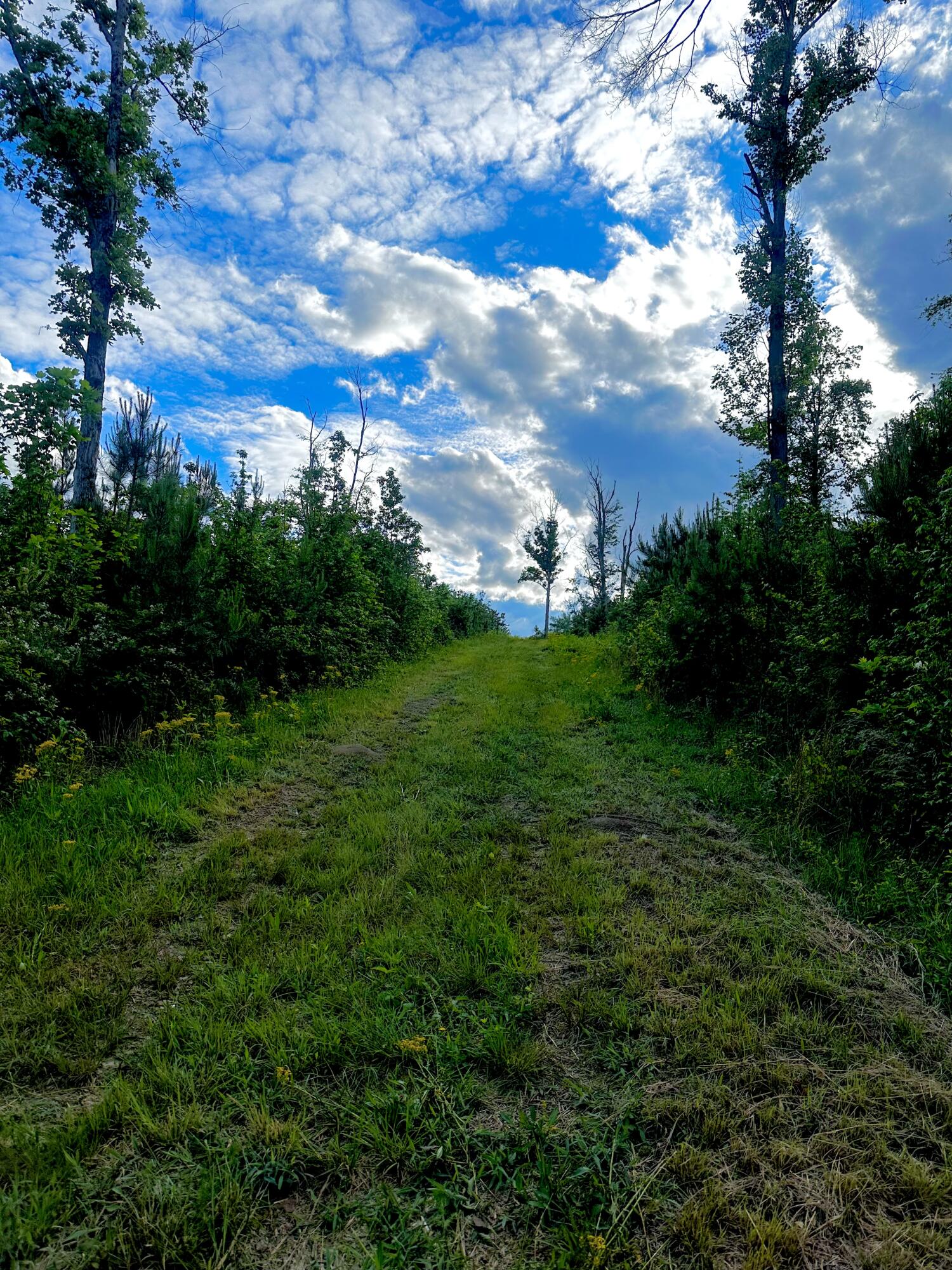 0 Highway 2 Dalton, GA 30721 - Photo 24 of 57 23