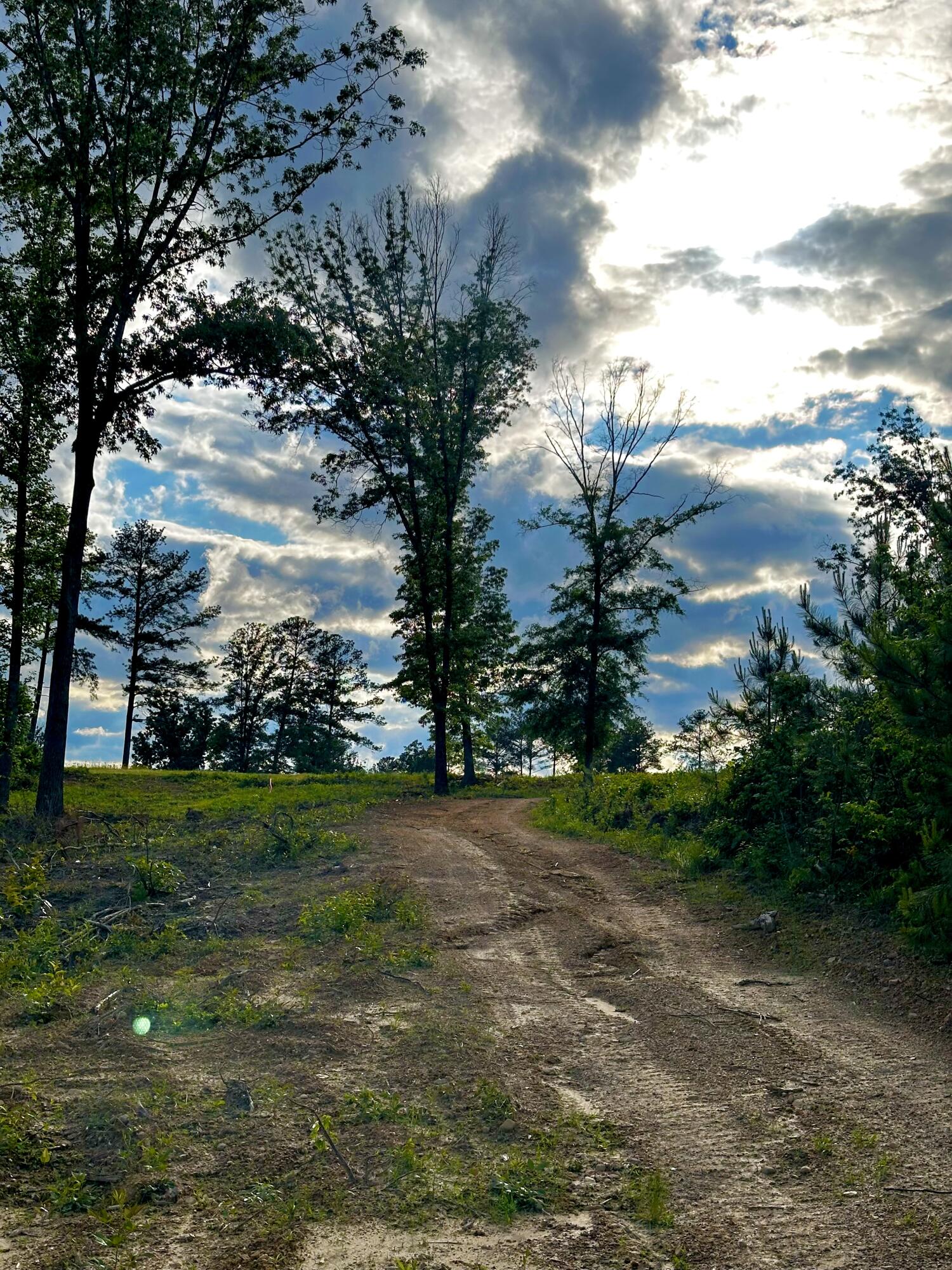 0 Highway 2 Dalton, GA 30721 - Photo 25 of 57 24