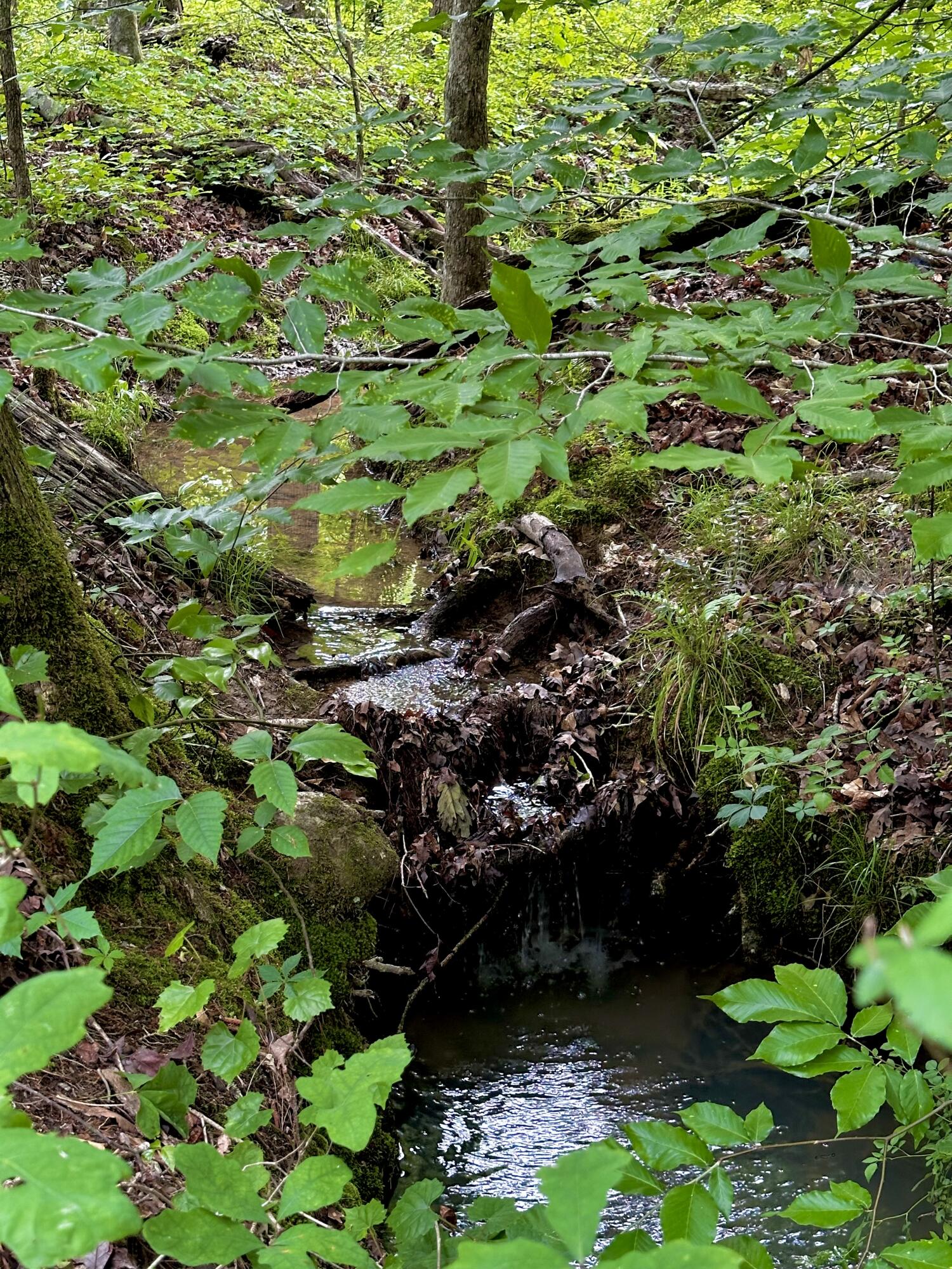 0 Highway 2 Dalton, GA 30721 - Photo 26 of 57 25