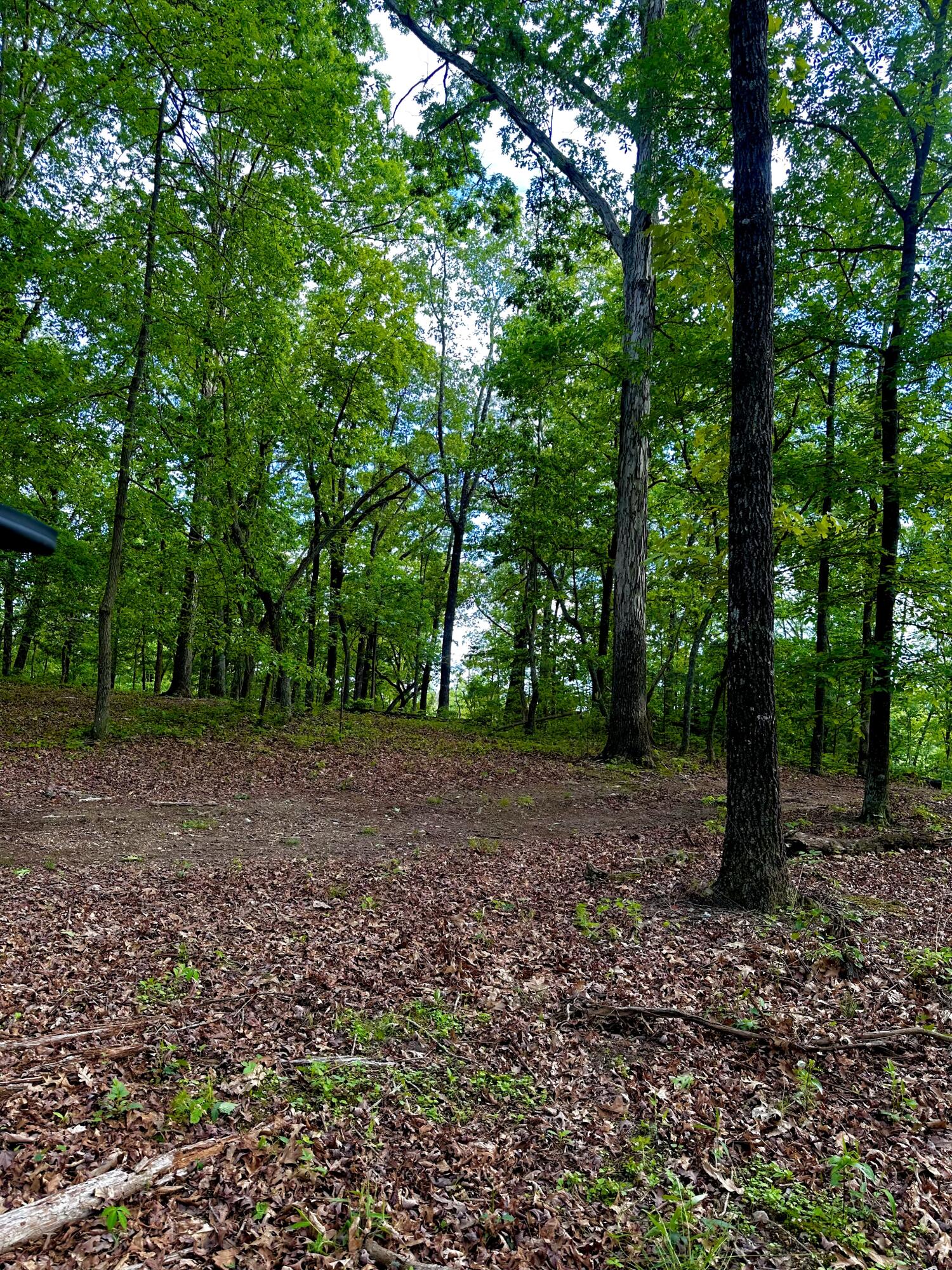 0 Highway 2 Dalton, GA 30721 - Photo 27 of 57 26