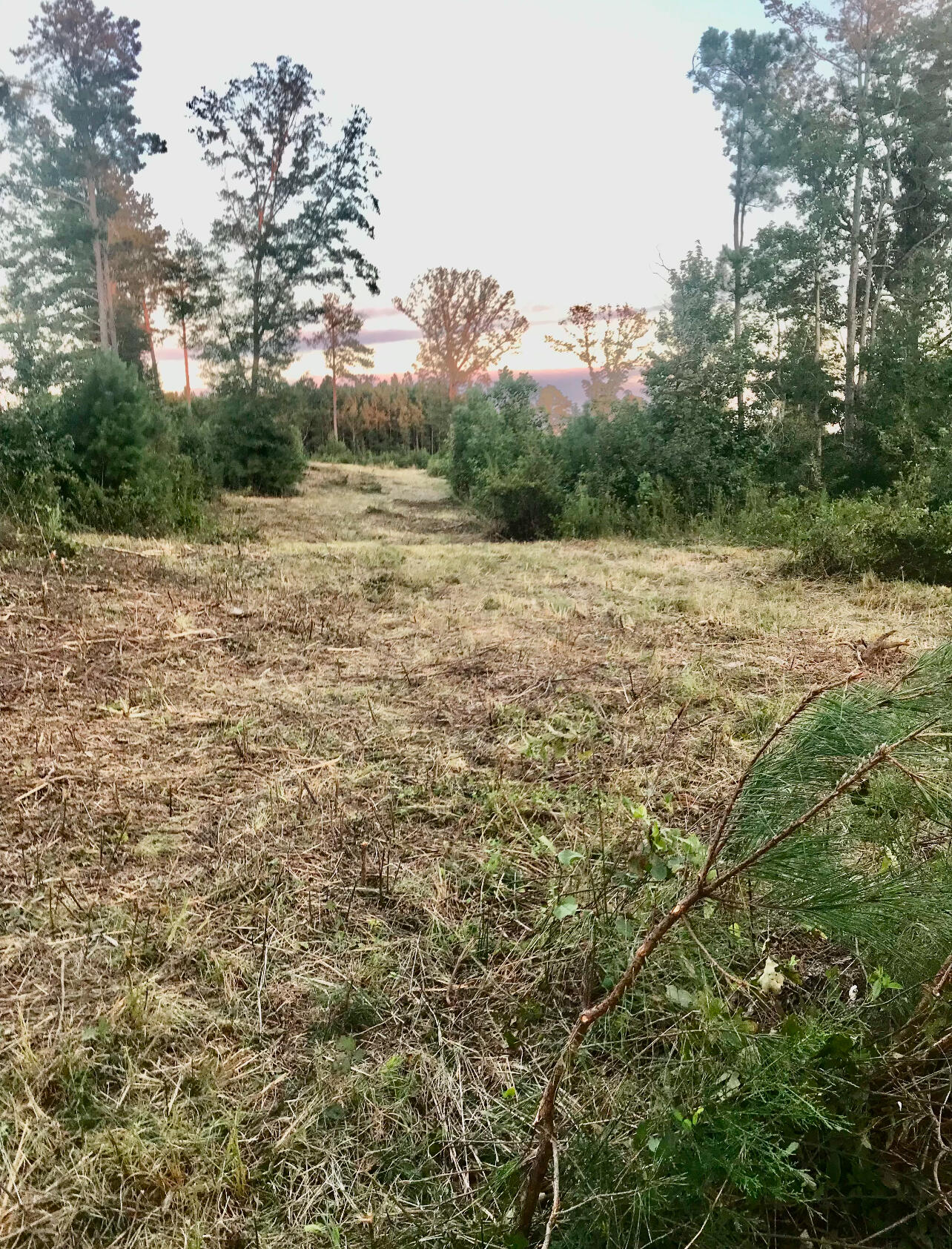 0 Highway 2 Dalton, GA 30721 - Photo 32 of 57 31