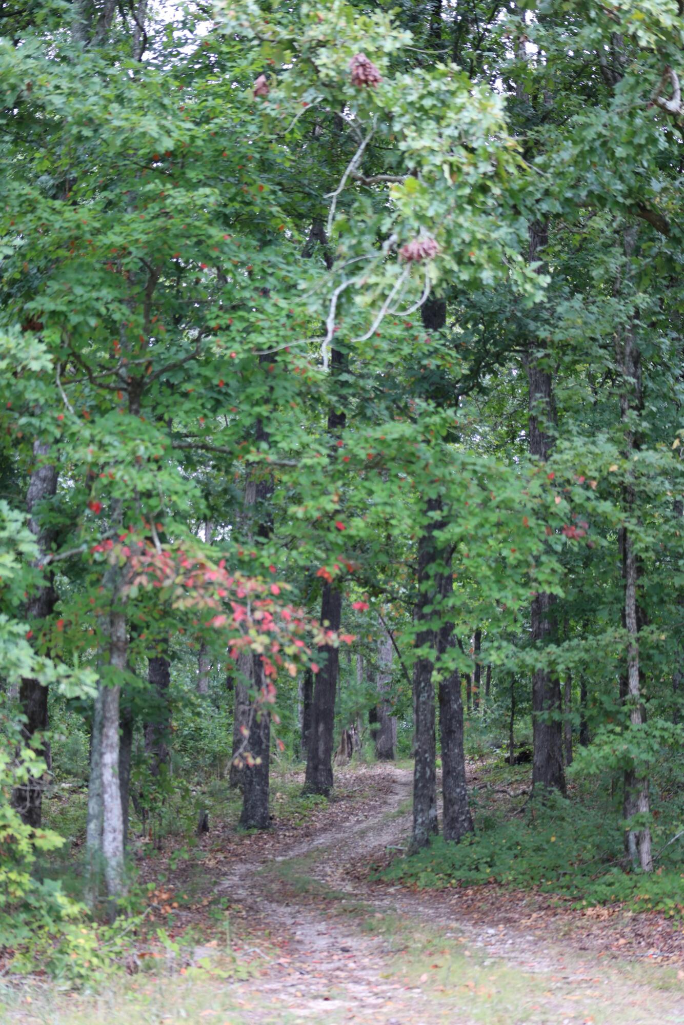 0 Highway 2 Dalton, GA 30721 - Photo 4 of 57 3