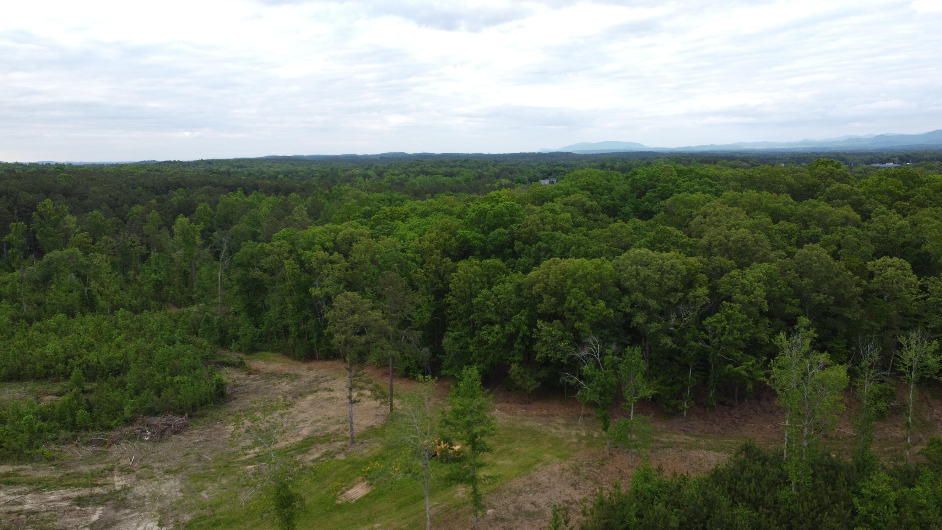 0 Highway 2 Dalton, GA 30721 - Photo 46 of 57 45