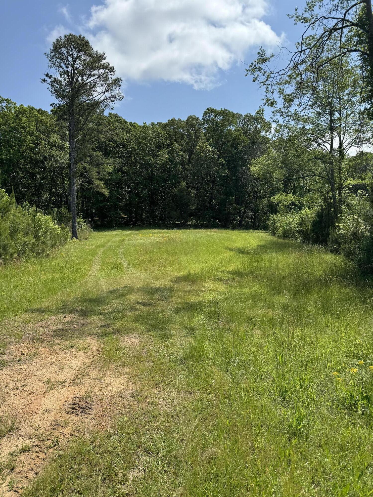 0 Highway 2 Dalton, GA 30721 - Photo 6 of 57 6