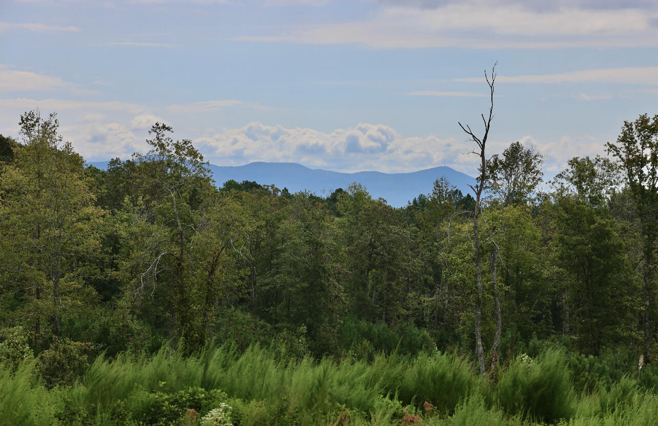0 Highway 2 Dalton, GA 30721 - Photo 8 of 57 8