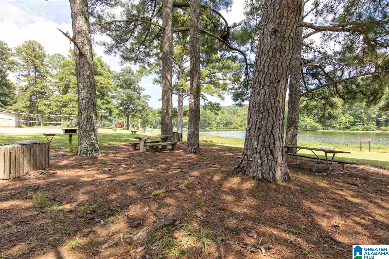 5639 Oak Mountain Lake Road Birmingham, AL 35242 - Photo 43 of 45