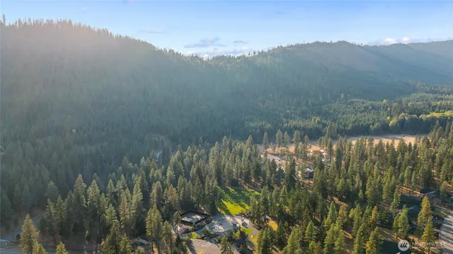 a view of a lush green hillside and houses
