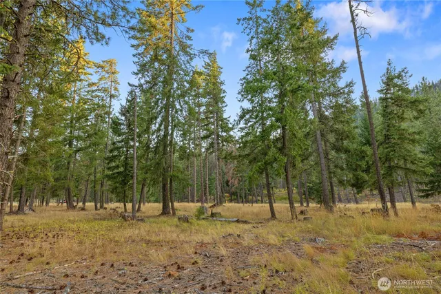 a view of a yard with a tree