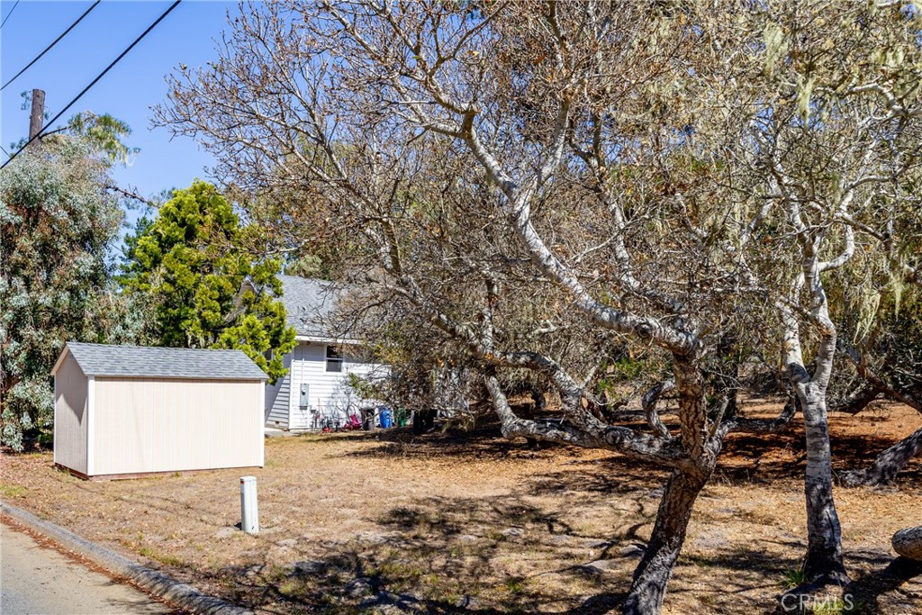 2070 Wales Road Cambria, CA 93428 - Photo 37 of 38 a view of a street with trees
