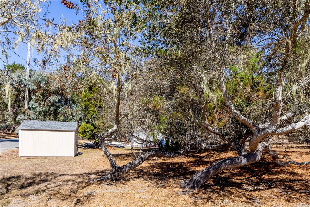 2070 Wales Road Cambria, CA 93428 - Photo 38 of 38 a view of a bench in a backyard