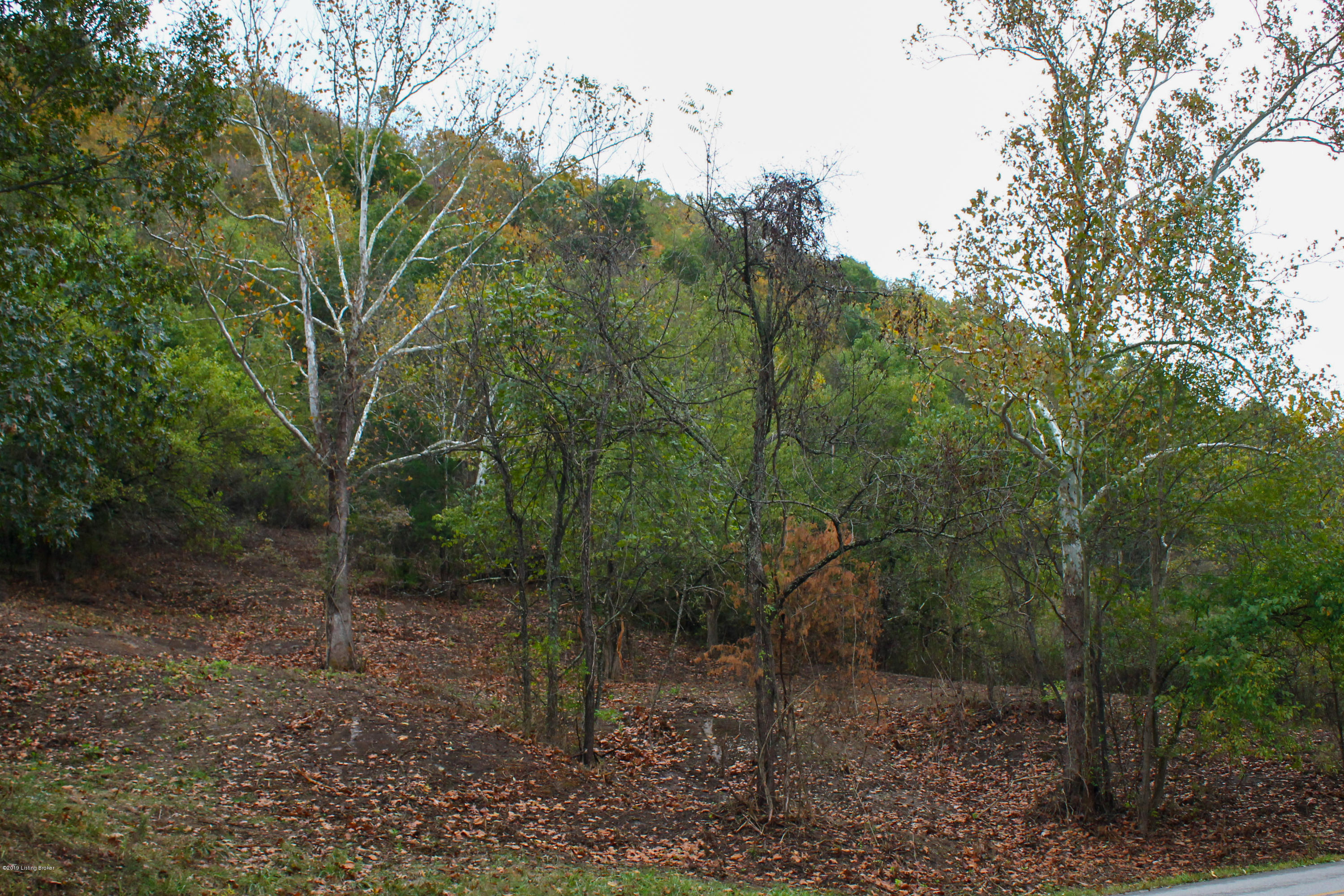 0 Carlisle Road Carrollton, KY 41008 - Photo 3 of 3 IMG_7521