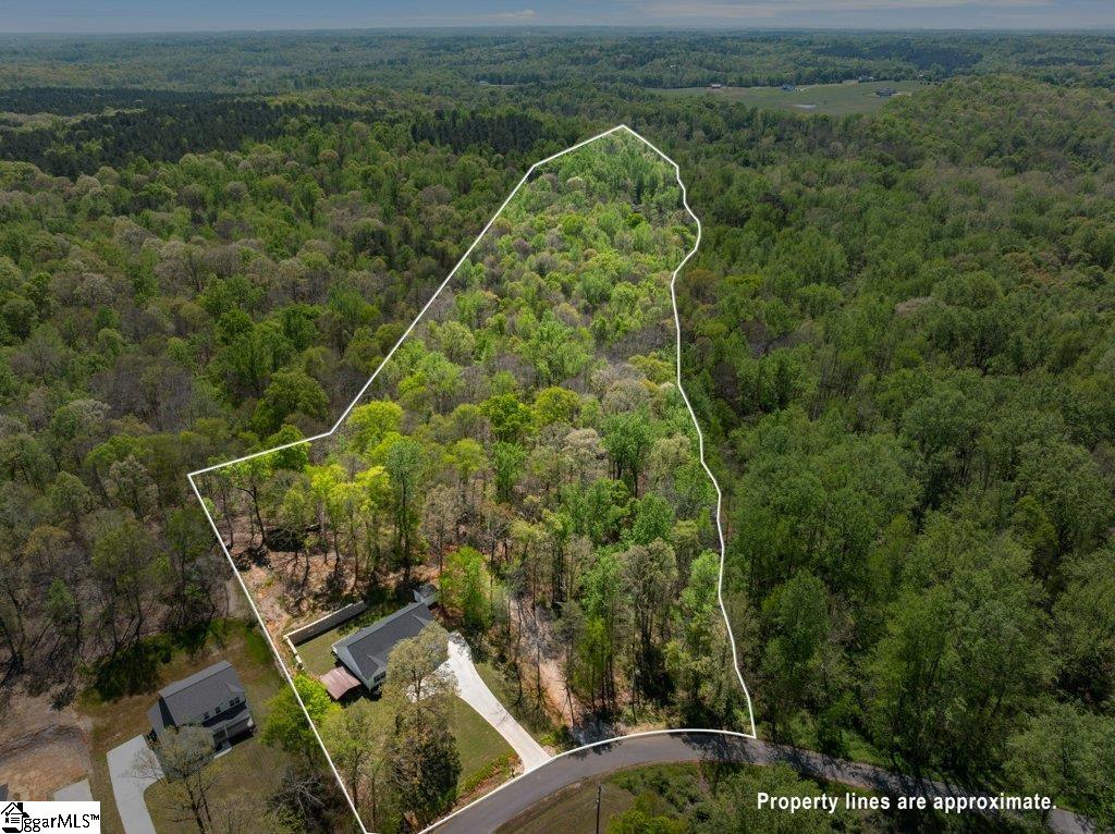 761 Pearson Town Road Moore, SC 29369 - Photo 3 of 39