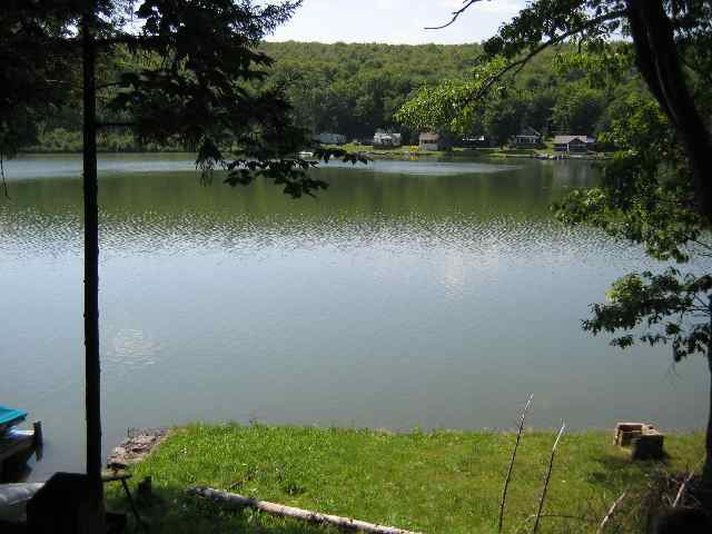 287 Bear Gulch Road Summit, NY 12175 - Photo 2 of 12 Photo 2