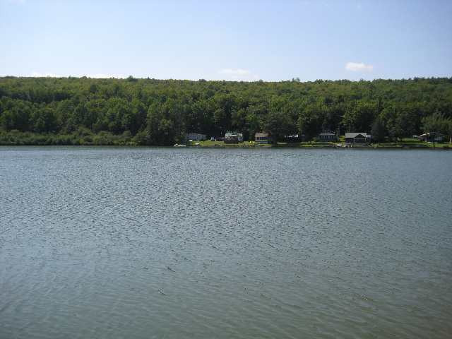287 Bear Gulch Road Summit, NY 12175 - Photo 3 of 12 Photo 3