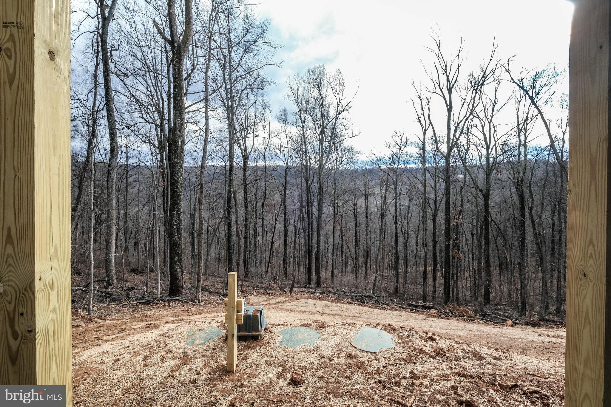 928 High Top Road Linden, VA 22642 - Photo 46 of 71 Privacy AND views!