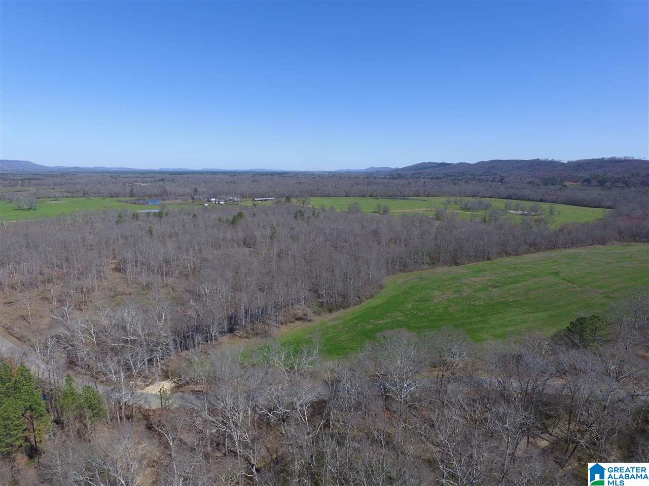 0 Double Bridge Road, Unit 286 Ashville, AL 35953 - Photo 11 of 34