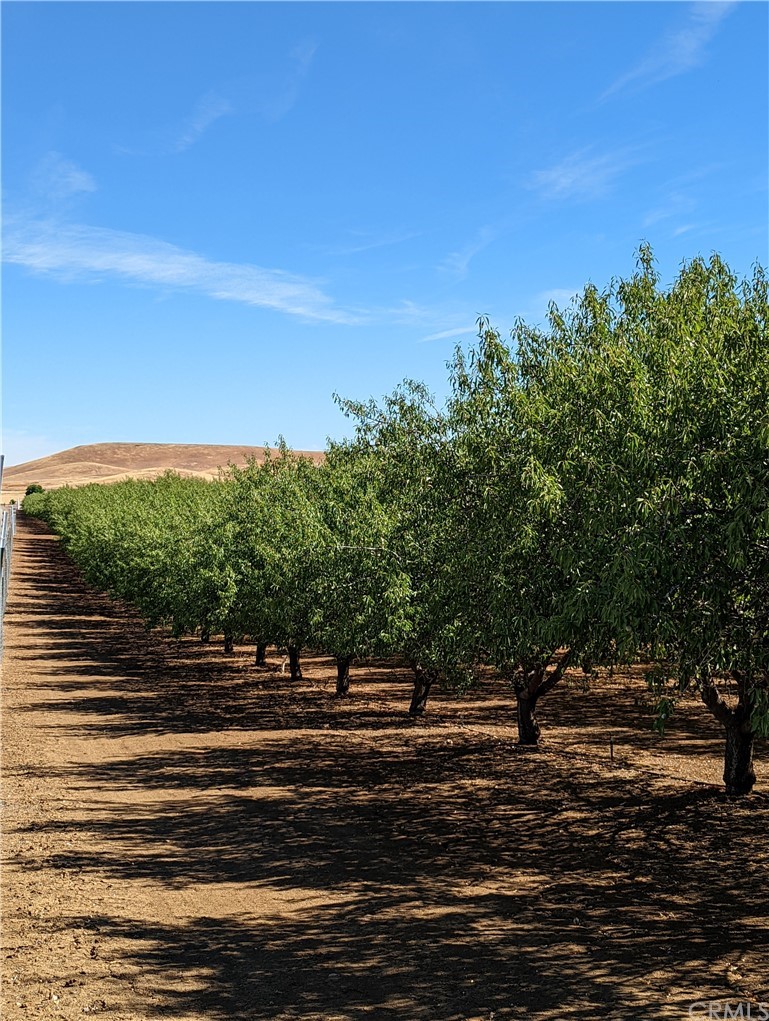 5189 Highway 162 Willows, CA 95988 - Photo 1 of 1 a view of a yard