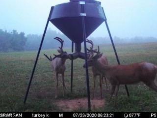 Blue Rd Mount Mount Vernon, OH 43050 - Photo 20 of 23 Gallery Image 20