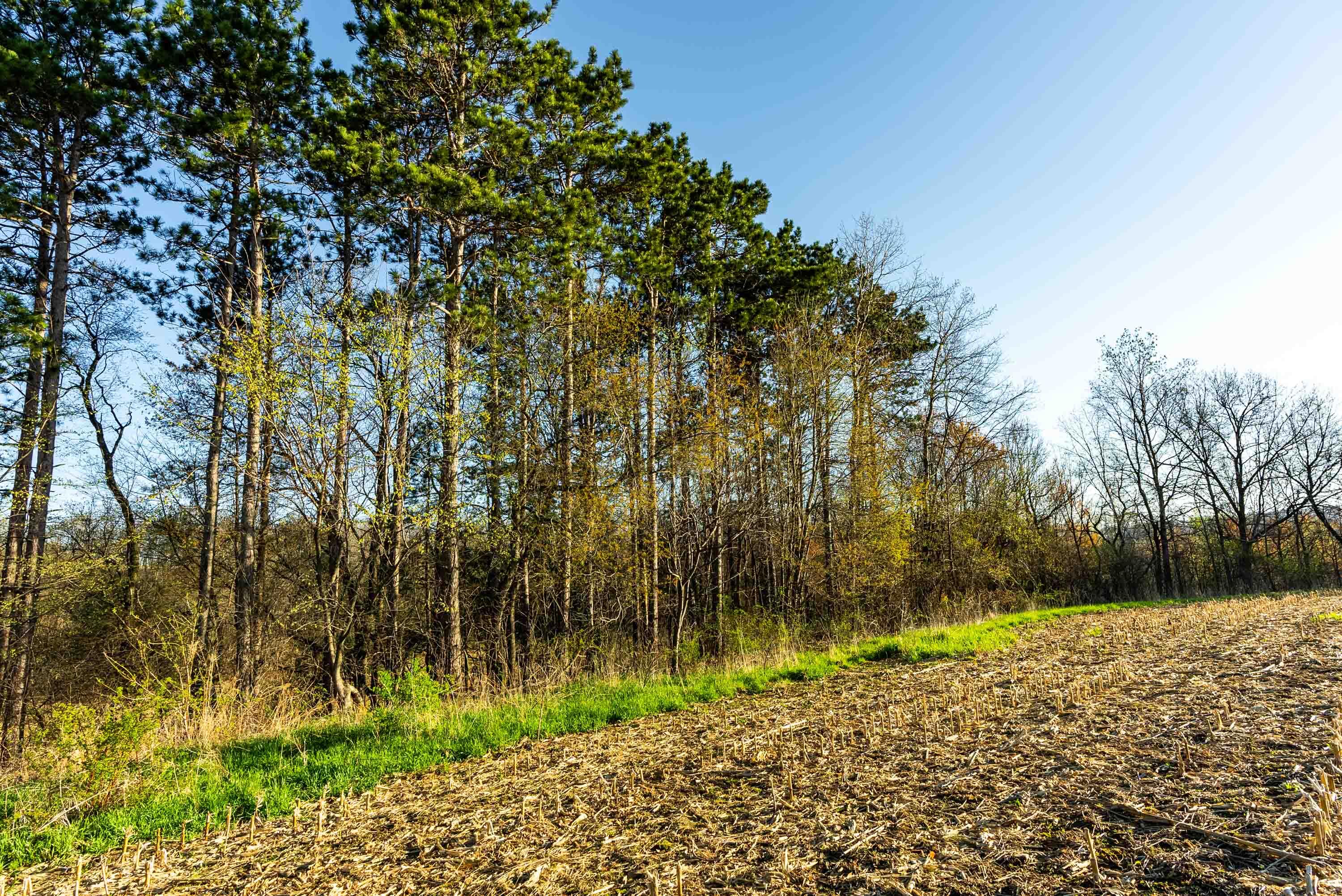Lt0 Eli Valley Road Hillpoint, WI 53937 - Photo 20 of 29 Sauk-County-WI-17-Acres-Land-For-Sale-21