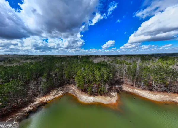 $140,900 | 3-acres Happy Hollow Road, Hampton, GA 30228