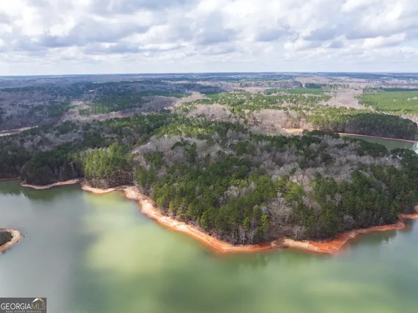 $140,900 | 3-acres Happy Hollow Road, Hampton, GA 30228