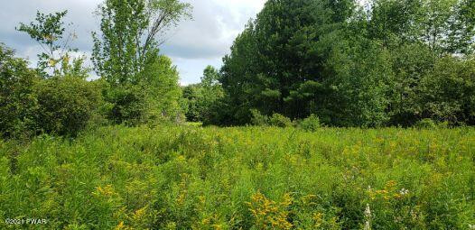 Spisak Road Bainbridge, NY 13733 - Photo 4 of 12 Resized_2_7