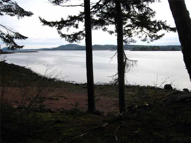 1614 South River Road Calais, ME 04619 - Photo 11 of 29 View. Shorefront looking left
