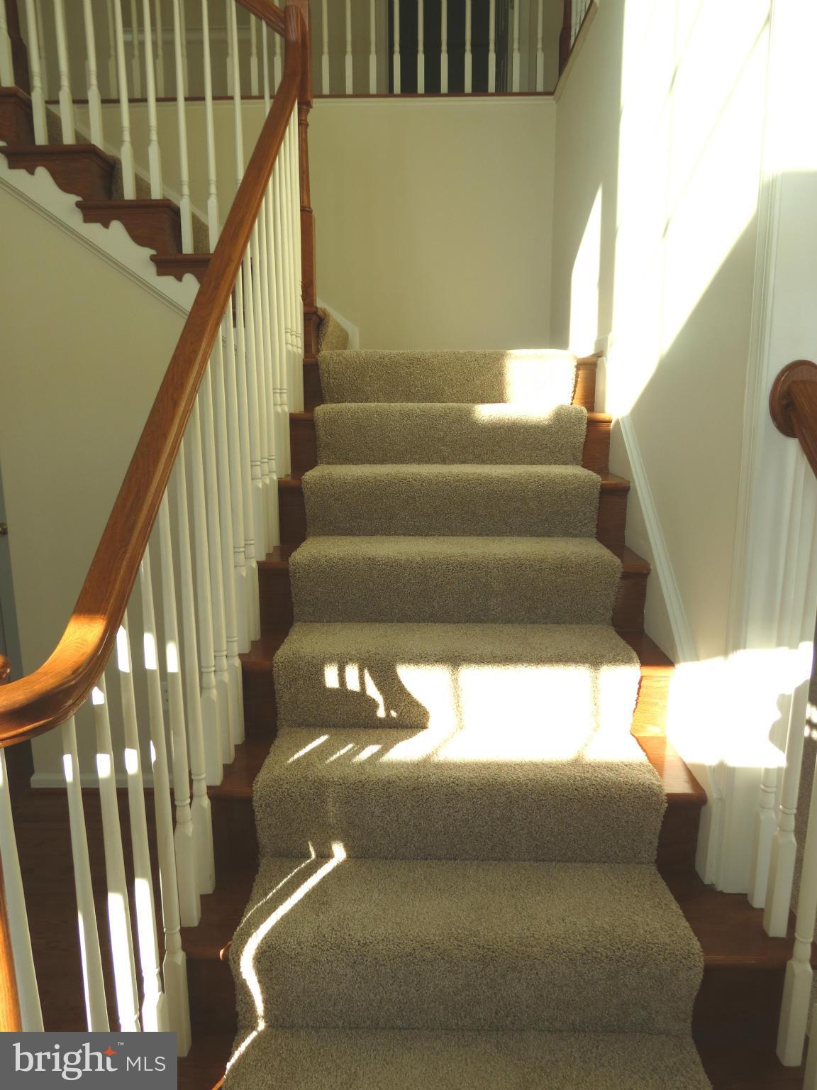 1801 Weybridge Road Frederick, MD 21702 - Photo 13 of 27 Staircase to Upper Level w/New Carpet
