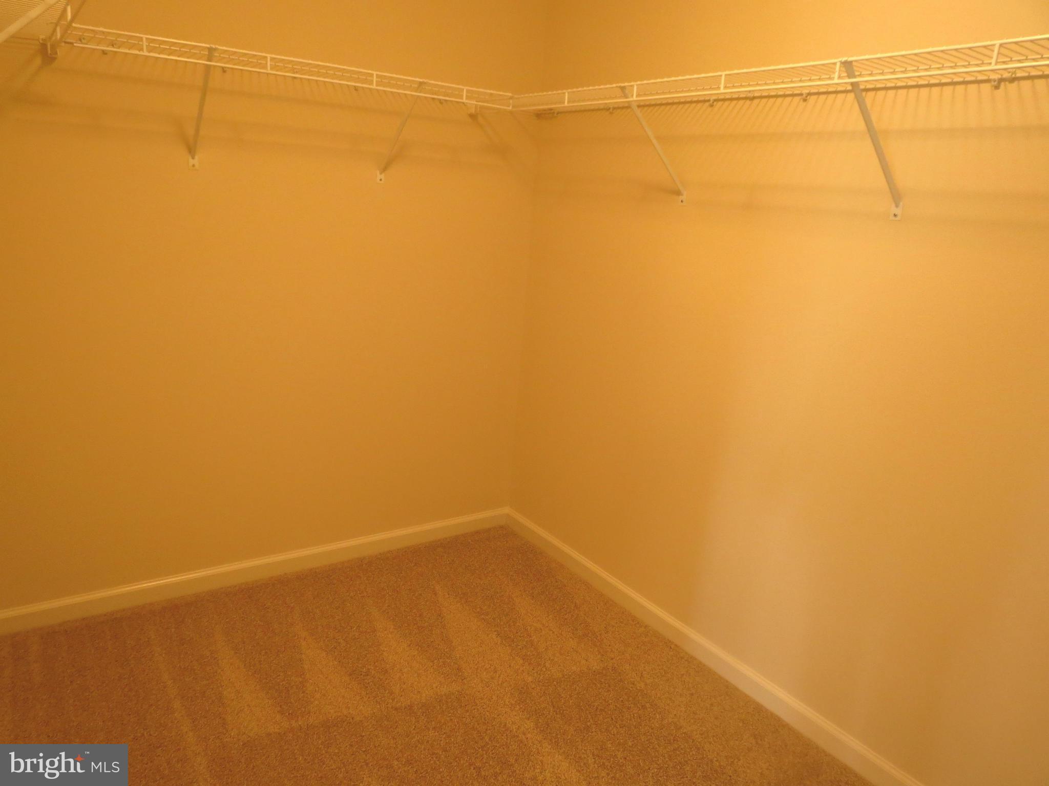 1801 Weybridge Road Frederick, MD 21702 - Photo 16 of 27 Master Walk-In