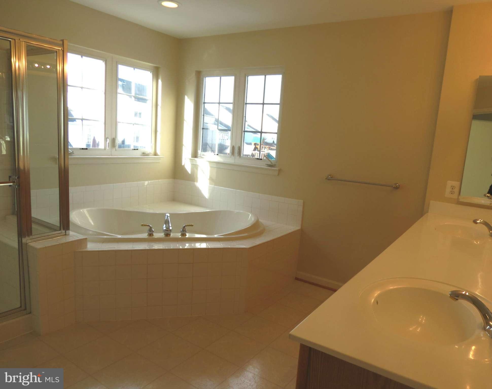 1801 Weybridge Road Frederick, MD 21702 - Photo 17 of 27 Spa Bath