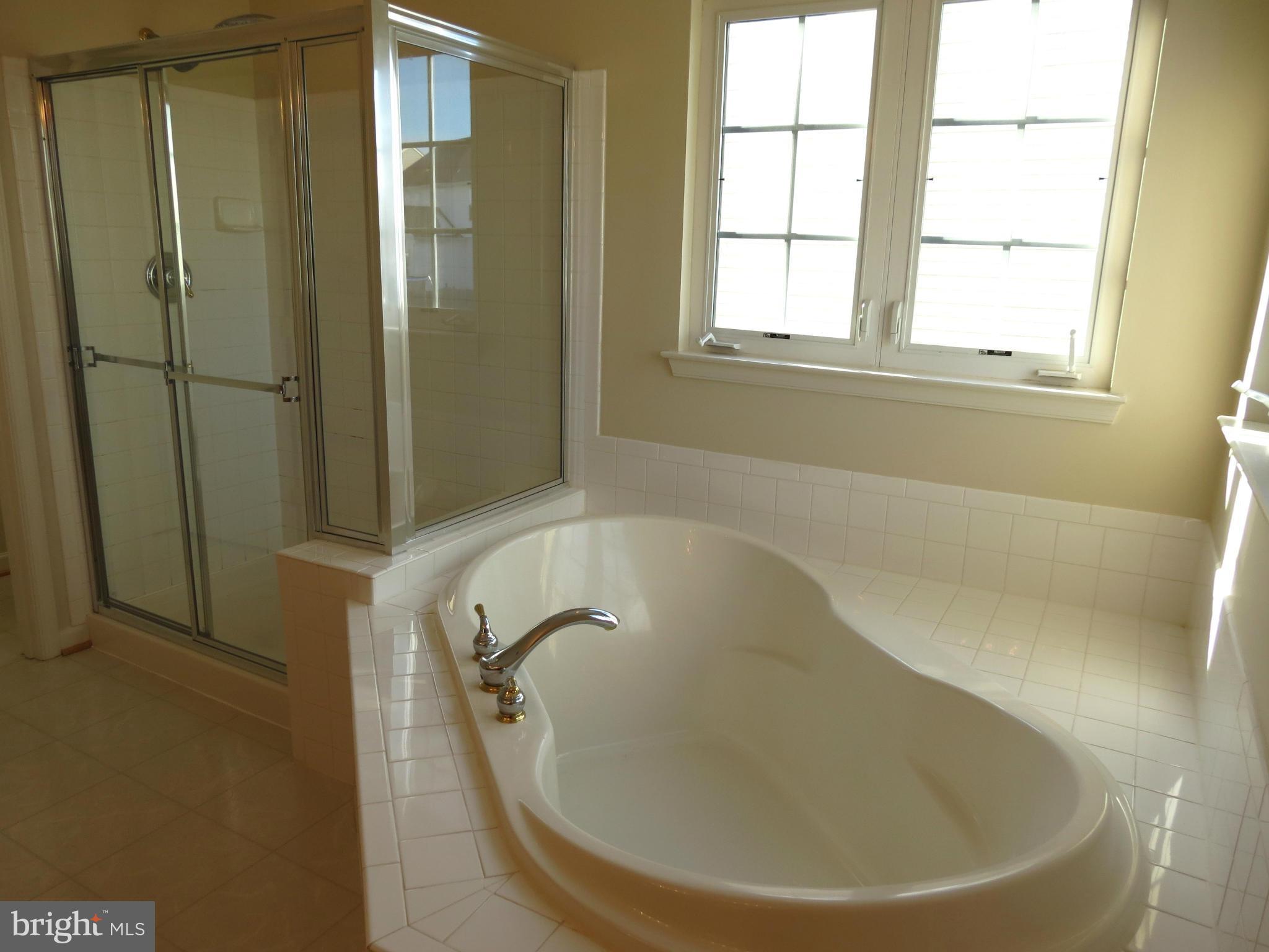 1801 Weybridge Road Frederick, MD 21702 - Photo 18 of 27 Soaking Tub