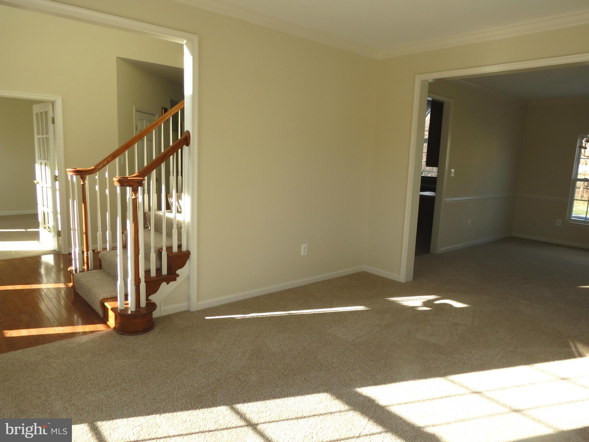 Living Room w/New Carpet