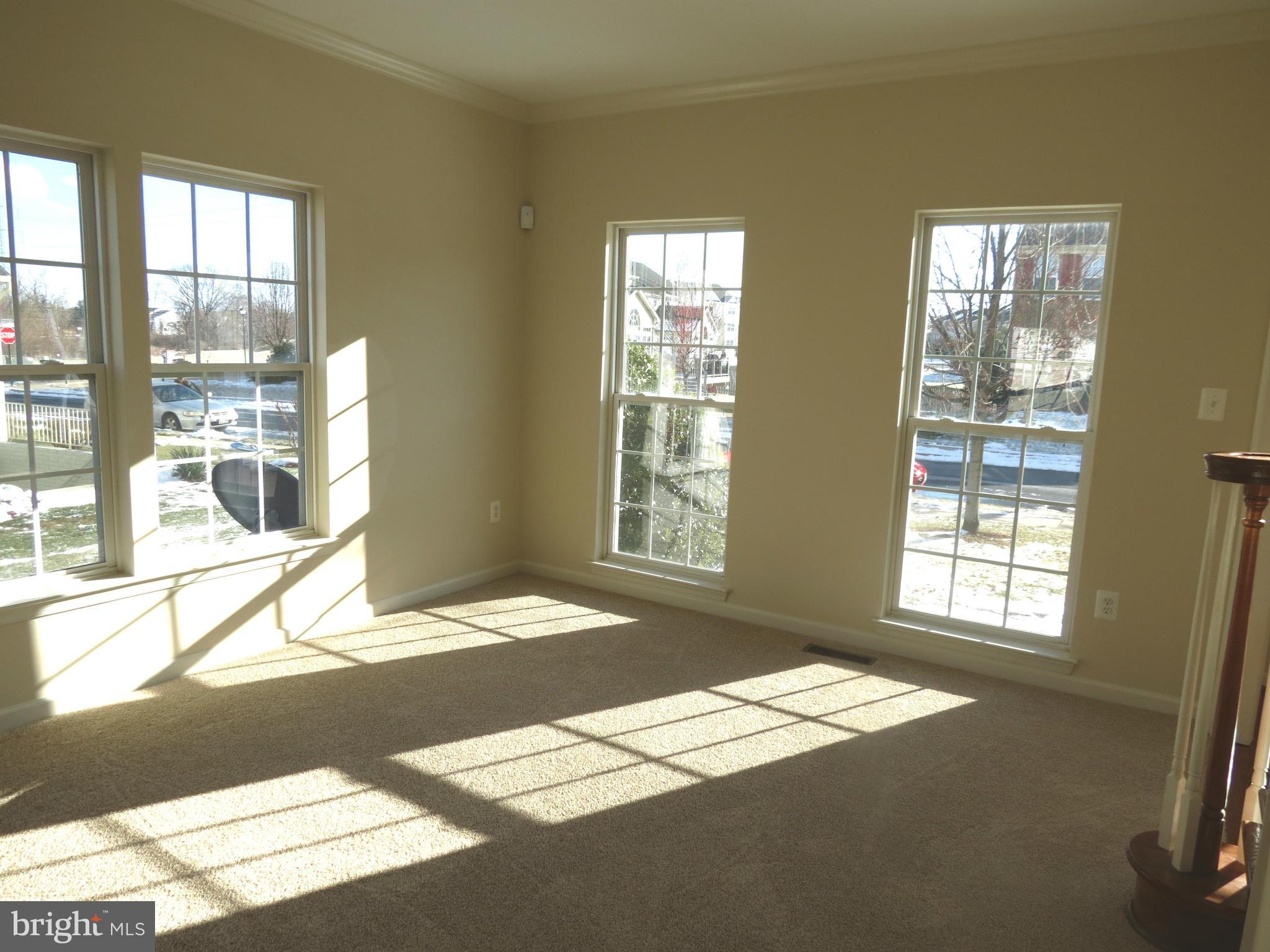 Living Room w/Loads of Windows