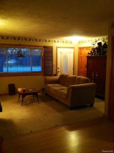 9587 Hilton Road Brighton, MI 48114 - Photo 5 of 13 Living Room
