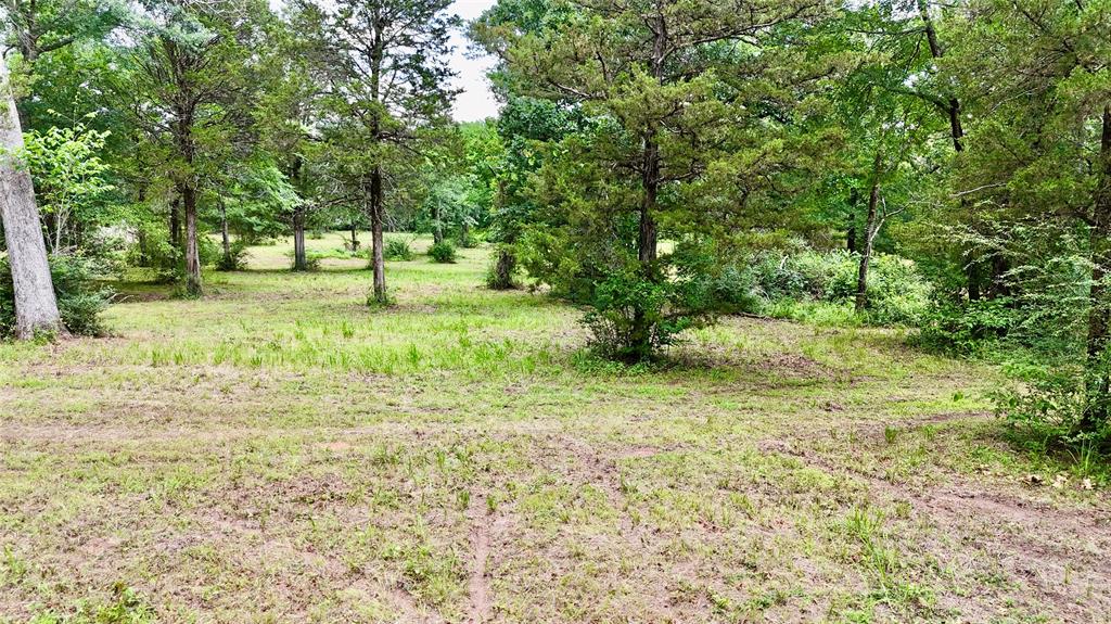 0 Gibson Road Athens, TX 75751 - Photo 11 of 17 Interior pic of property