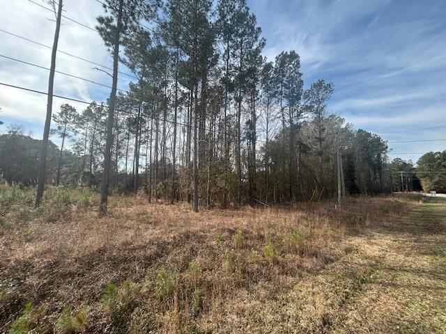 4020 Jefferies Highway Walterboro, SC 29488 - Photo 3 of 4 4020jefferies3