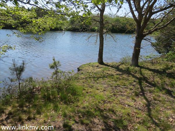 122 Pond View Farm Road West Tisbury, MA 02568 - Photo 6 of 14 http://d1qzqeyxiitrap.cloudfront.net/photos/30376/600/20885d2a.jpg