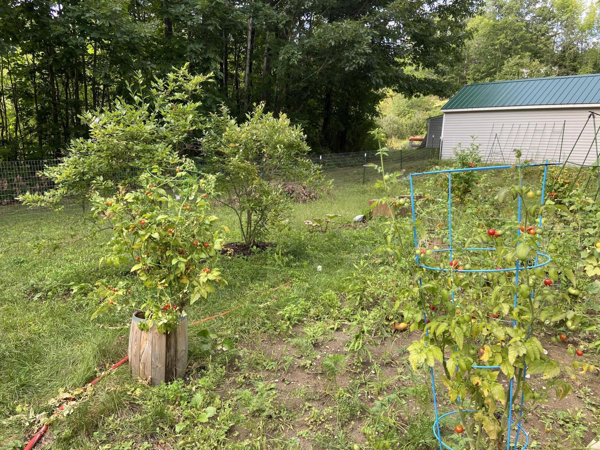 65 Bessie Road Winthrop, ME 04364 - Photo 7 of 25 22