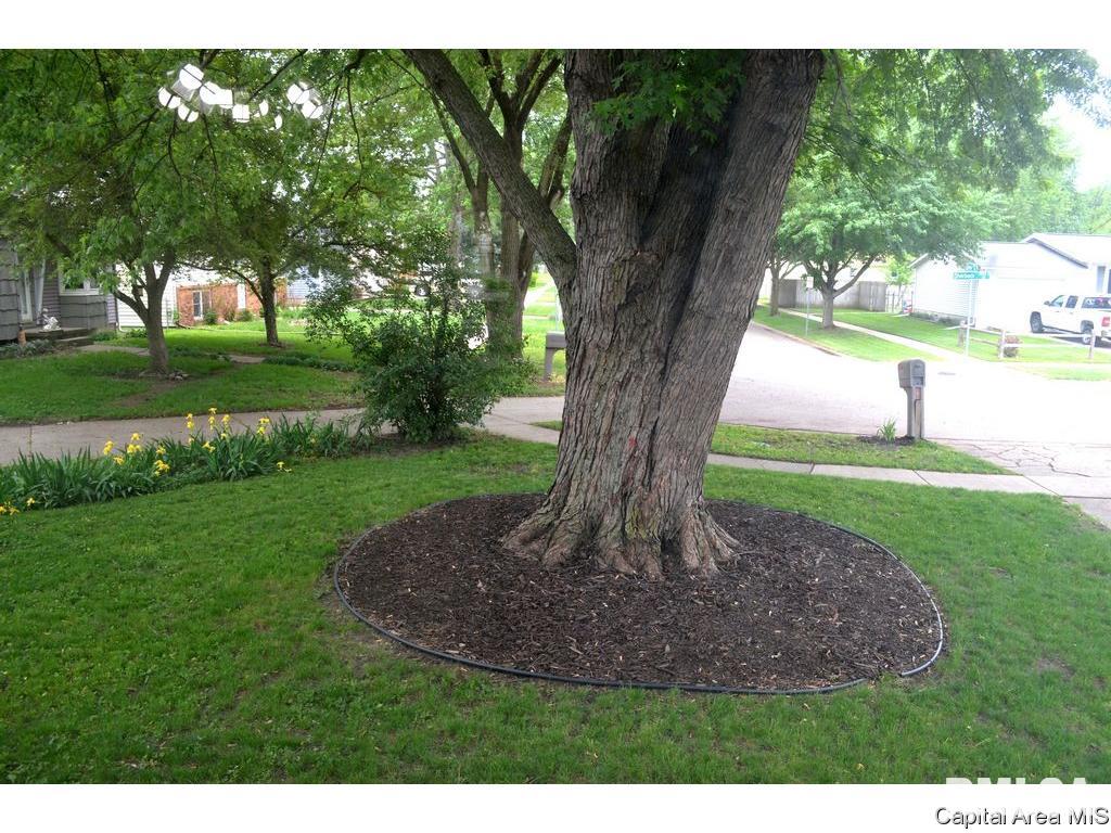 3029 Sherborn Road Springfield, IL 62702 - Photo 19 of 20