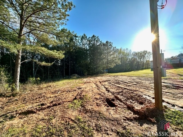 1 Dora Bush Hill Road McRae-Helena, GA 31037 - Photo 29 of 32