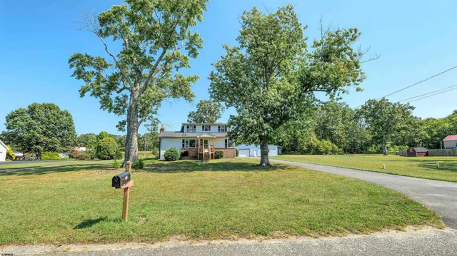 a view of a park with large trees