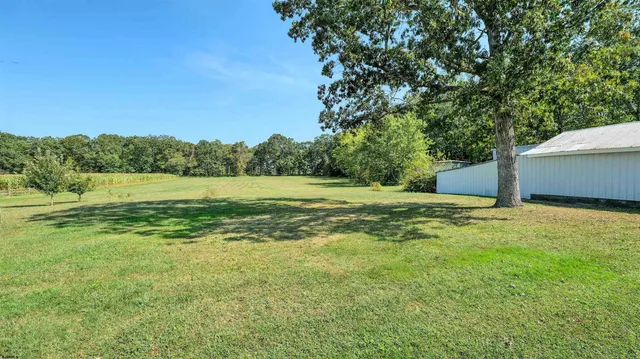 a view of a field with an trees