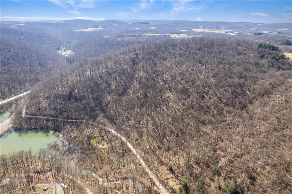 0 Dark Hollow Road Confluence, PA 15424 - Photo 3 of 12 Gallery Image 3