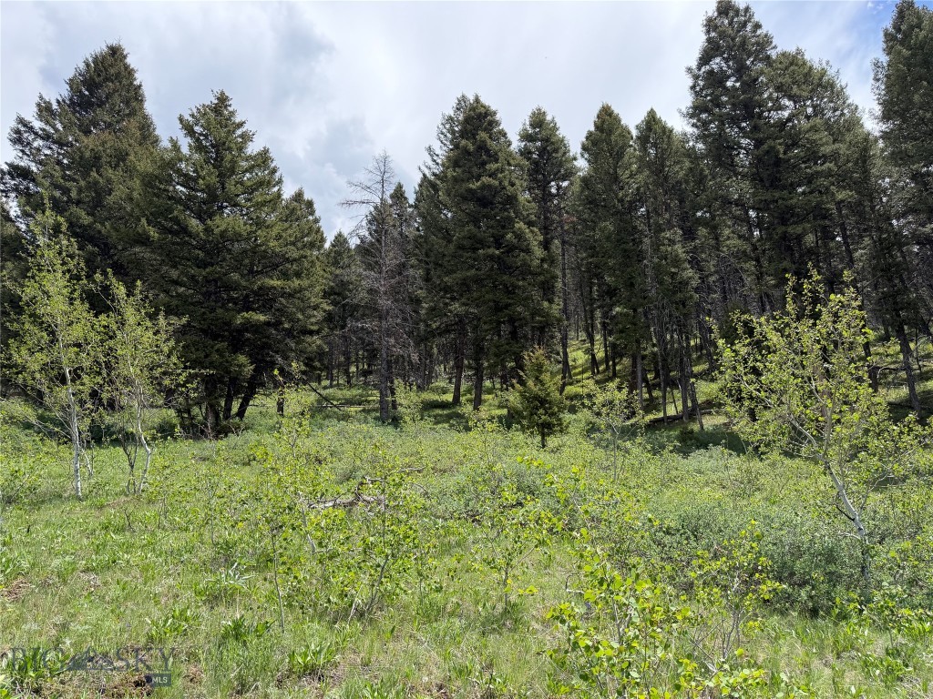 2-4a Continental Divide Road Cameron, MT 59720 - Photo 15 of 37 Gallery Image 15