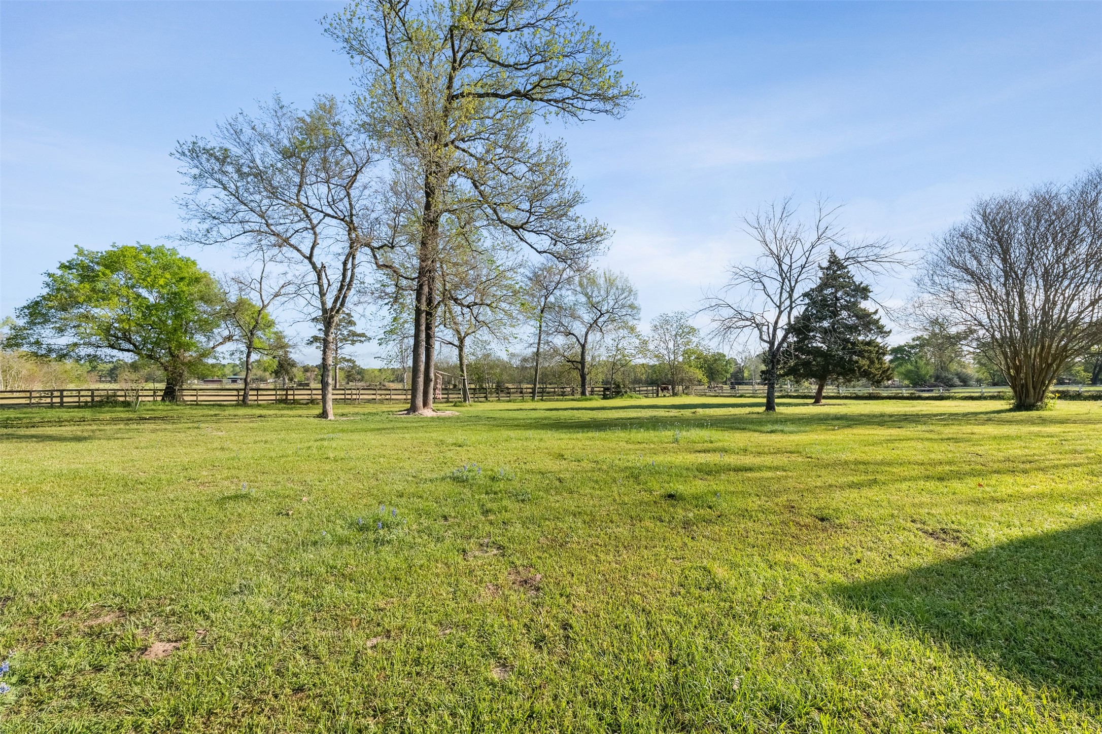 26515 Dobbin-Huffsmith Road Magnolia, TX 77354 - Photo 36 of 47