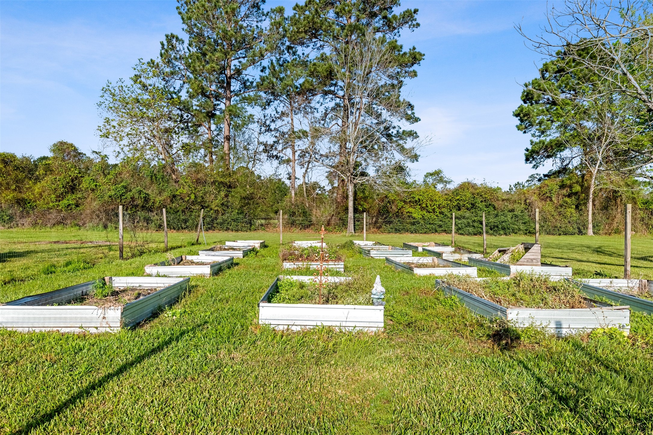 26515 Dobbin-Huffsmith Road Magnolia, TX 77354 - Photo 38 of 47