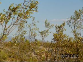 0 South Sacramento Road Golden Valley, AZ 86413 - Photo 3 of 8 Additional Photo