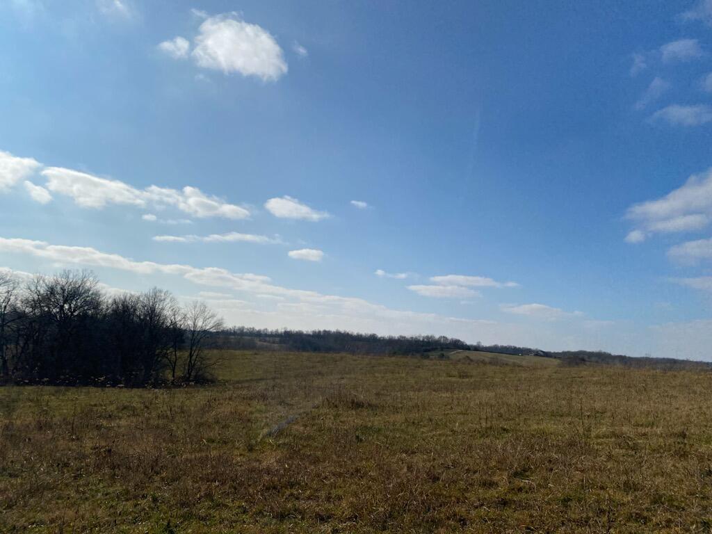 120271 Walnut Grove Road, Unit TRACT # 1 Carlisle, KY 40311 - Photo 25 of 39 25